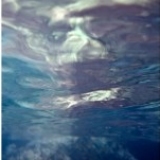 ''Sea Through'' By Marina Vernicos