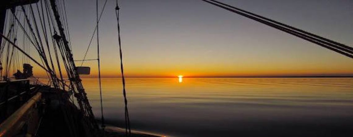 St Patricks Celebration Week 