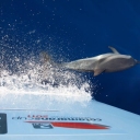 SHOOT OFF! COMPETITIONTake the best photos during the regatta and claim the first prize!Each crew can register up to 2 digital photos.Each crew will receive the competition's Terms & Conditions at Regatta's commencement and the Catamarans Cup Organizing Committee will be announcing the deadline for submitting entries.Stay tuned for 2021's twist!