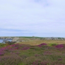 Beautiful landscape of Ouessant.
