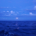 With full moon through the night.