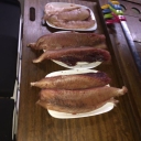 Ready to serve! Our sushi loving crew just loved it!!