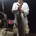 our first greek tuna :)