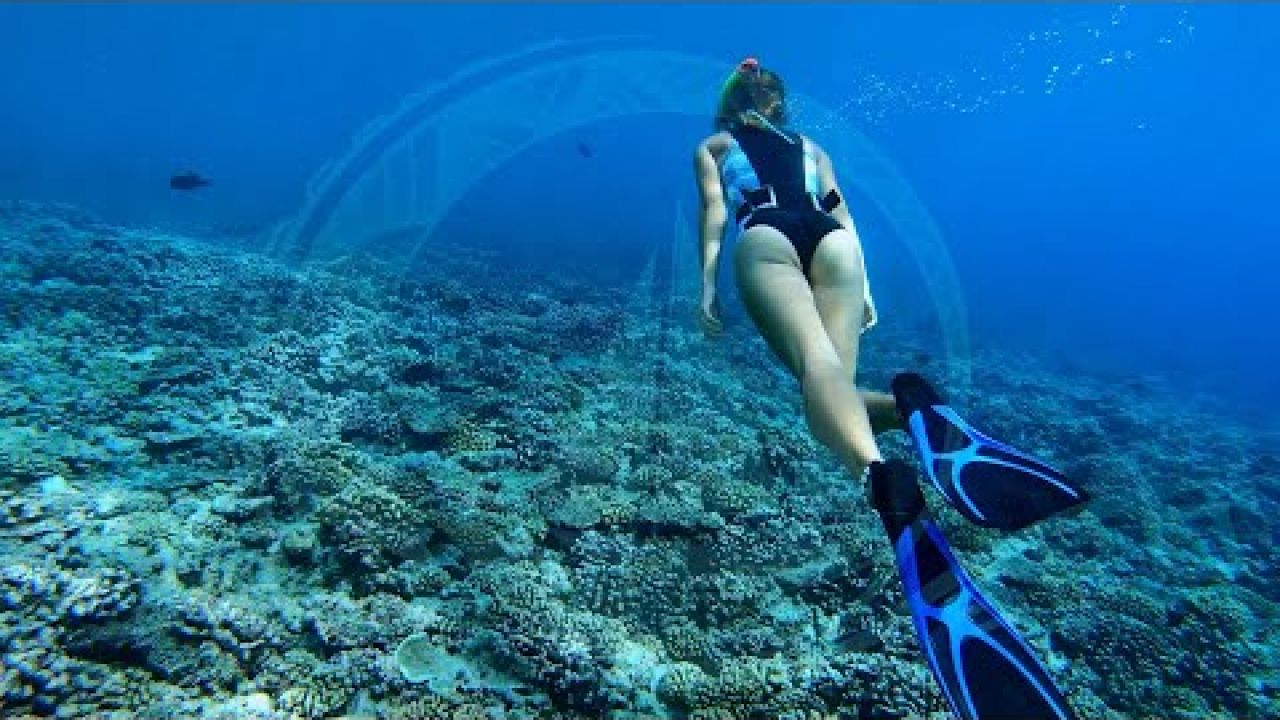 20-02_Greetings from Paradise (sailingZERO)