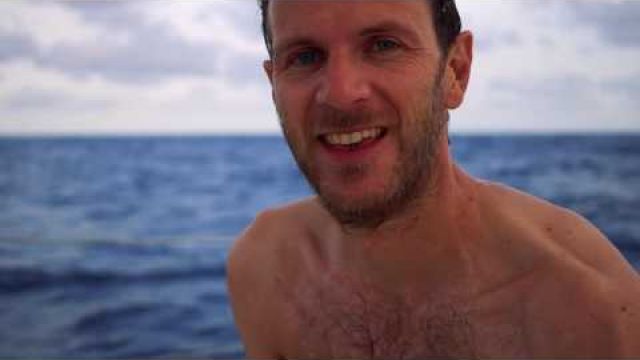 We are surrounded by dolphins! - Sailing across the atlantic Ep. 4