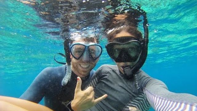 Free Diving with HUNDREDS OF SHARKS in Fakarava || COUCHSAILORS Sailing Journal #9