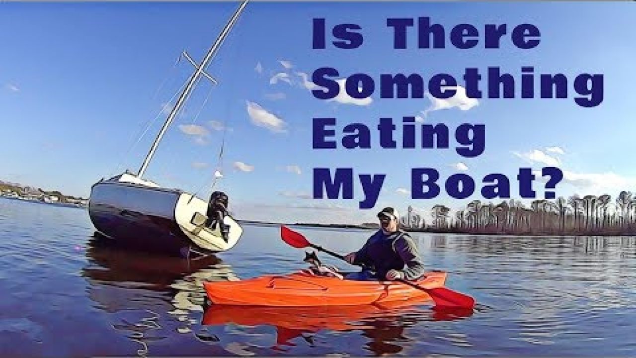 Is There Something Eating My Boat? - Tale #10 -Sails & Tales - Sailing SV Chelu