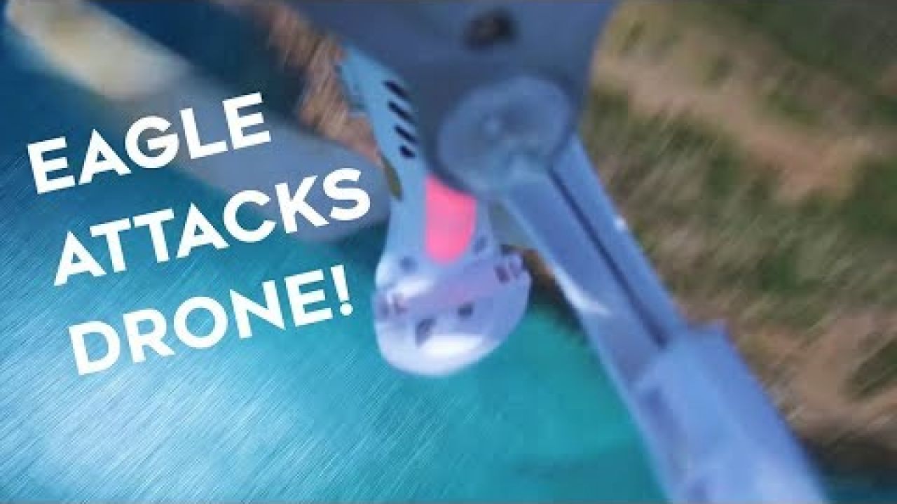 The Day An Eagle Attacked Our Drone. You have to SEE THIS! (Sailing SV Sarean) Ep. 62