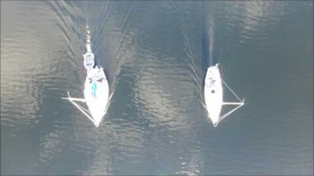 Into the Mist Eyewing