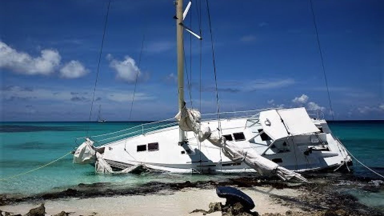 Survive On A Deserted Island, Part 1, Water What's In It, video#16