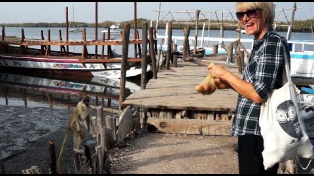 Full moon sailing to Gambia, the smiling coast of Africa SAIL to FLY #42