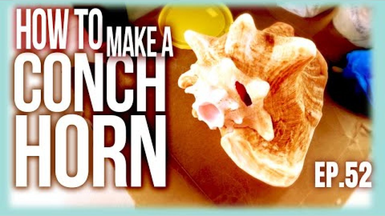 How to Make a Conch Horn | Sailing Balachandra E052