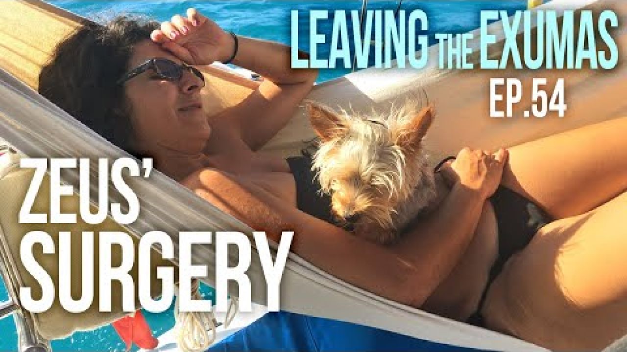Zeus has Surgery and Sailing to Salt Pond Thompsons Bay Exumas Bahamas | Sailing Balachandra E054