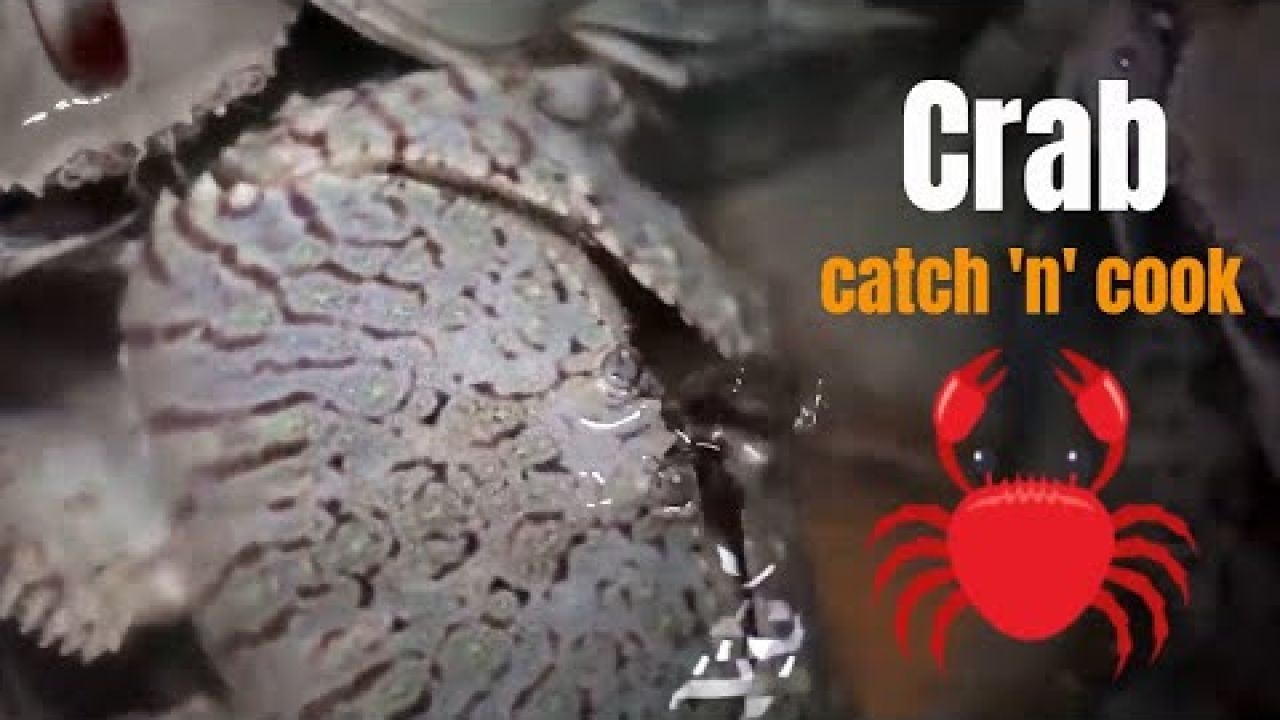 Crab catch and cook in George Town, Bahamas