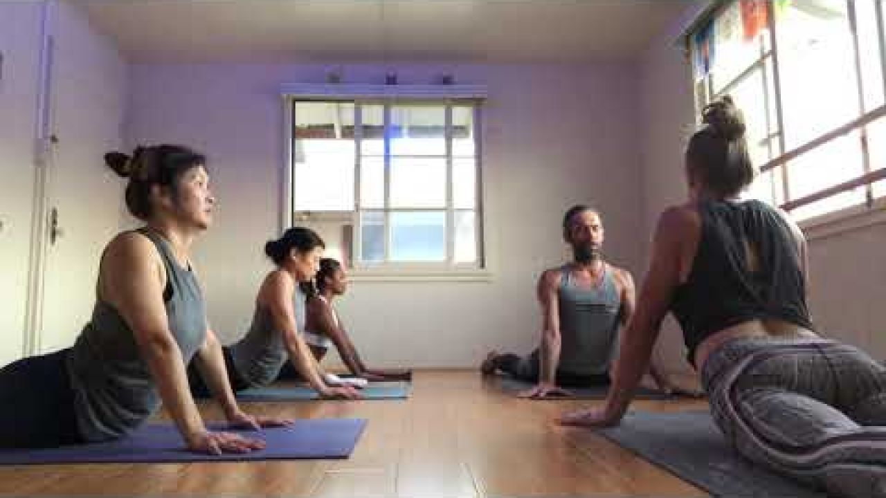 Yoga For Meditation - Bhakti Flow / Devotional Vinyasa (@joahyoga)