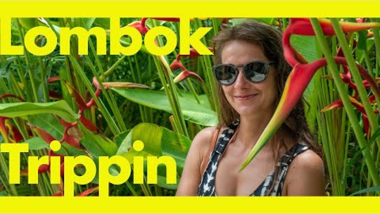 Lombok Trippin (Learning By Doing Ep133)