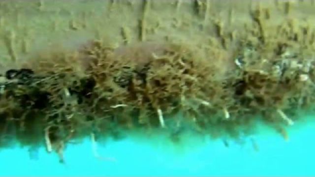 Inspection of Running on Waves' bottom